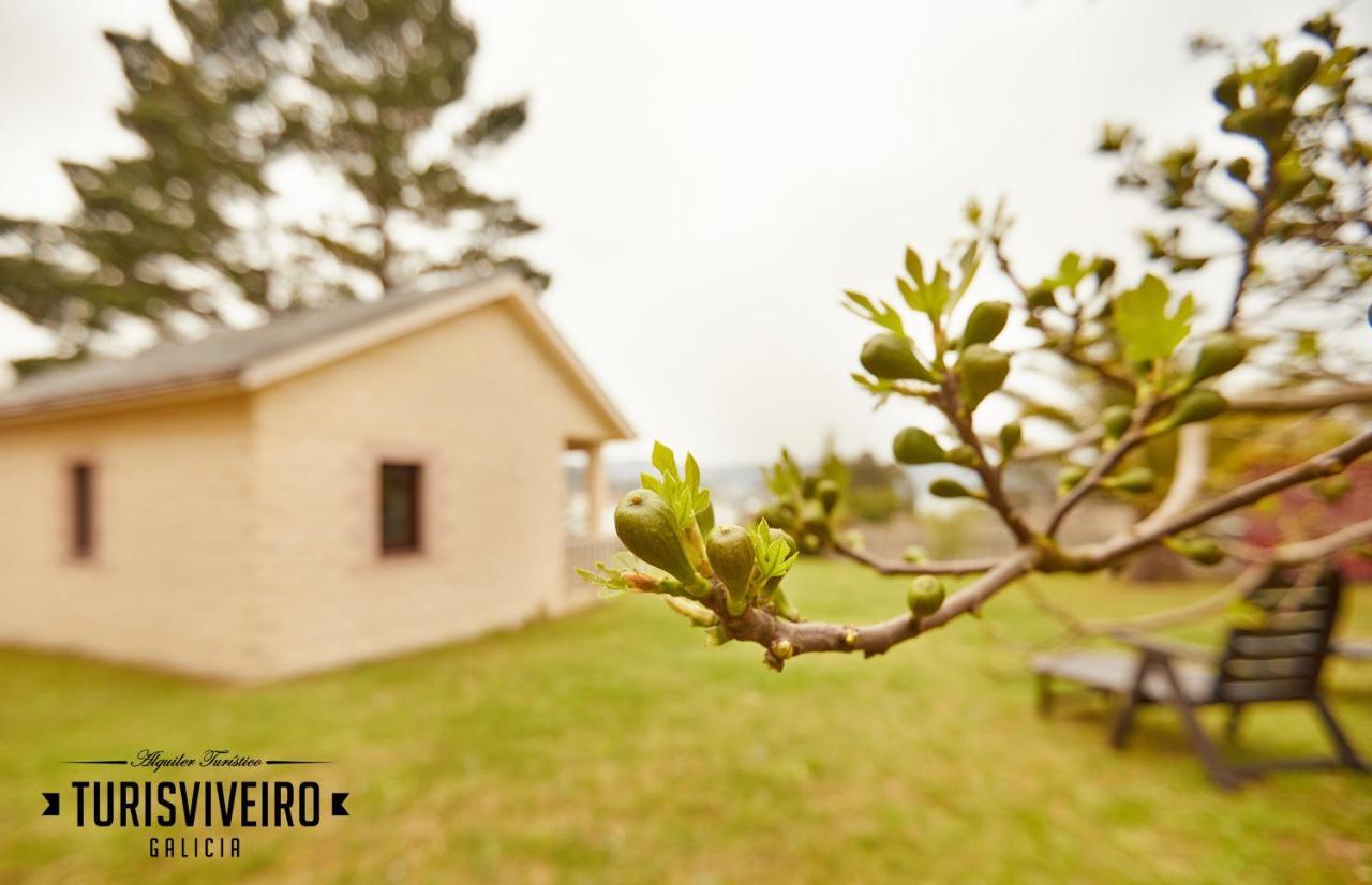 Casa En La Playa De Area Con Finca Privada Viveiro Zewnętrze zdjęcie